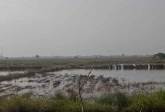 dijual tanah 65 hektar babelan bekasi