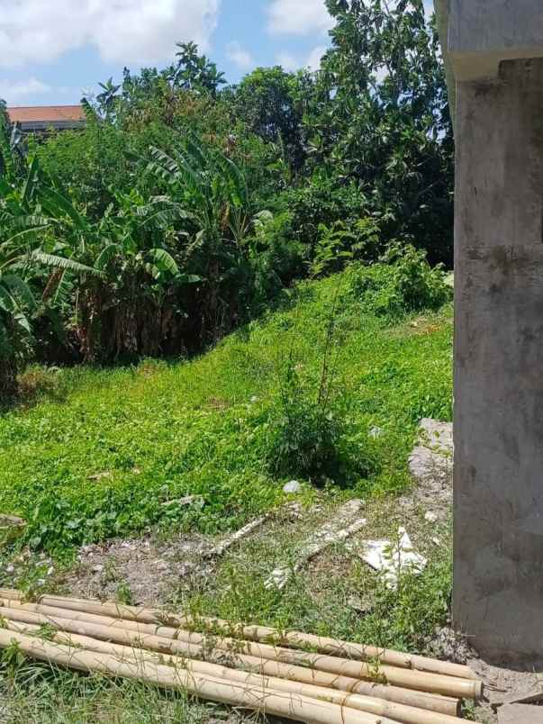 dijual tanah abasan berawa