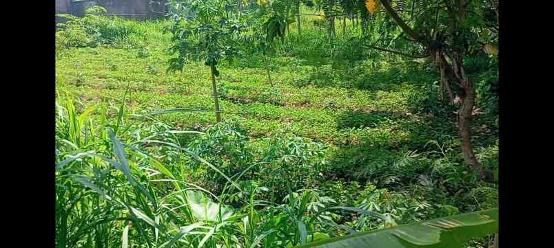 dijual tanah boyolali kota