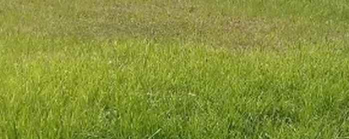 dijual tanah bukit palma