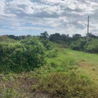 dijual tanah bumbak dauh