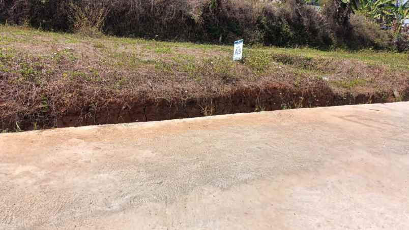 dijual tanah cepoko
