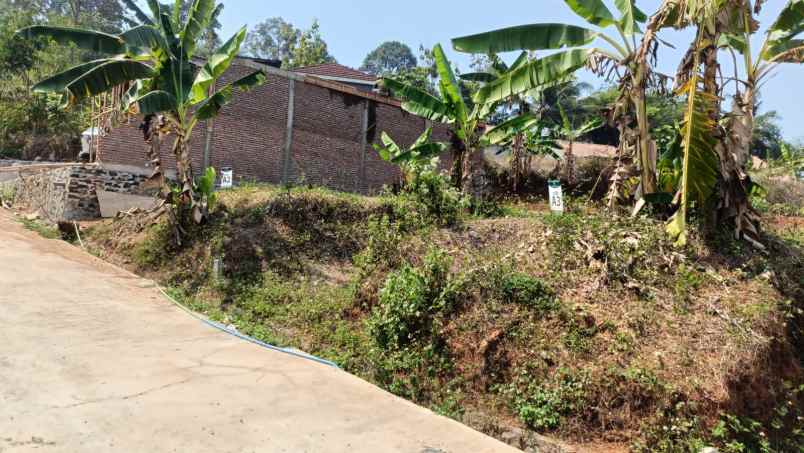 dijual tanah cepoko