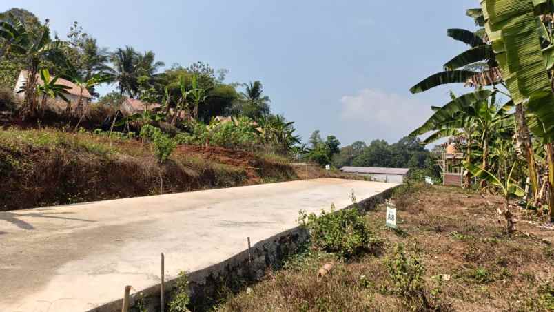 dijual tanah cepoko