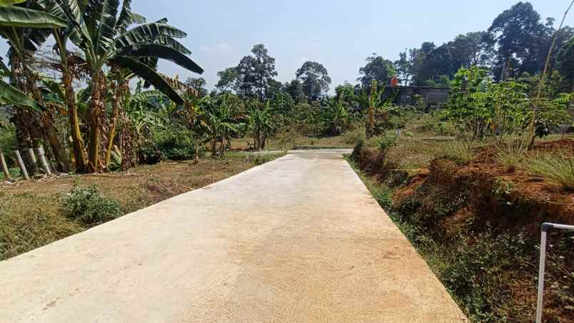 dijual tanah cepoko