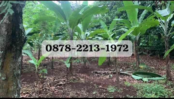 dijual tanah cileungsi bogor