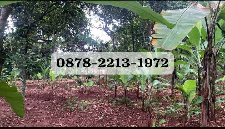 dijual tanah cileungsi bogor