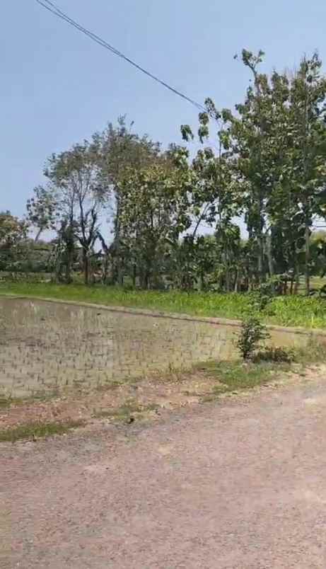 dijual tanah depan jln desa kec dolopo kab madiun