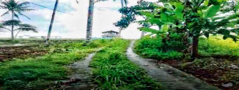 dijual tanah desa balekambang