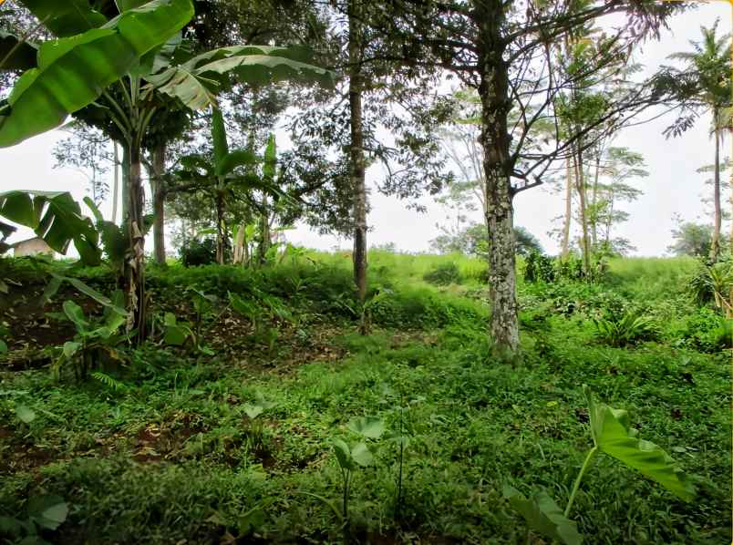 dijual tanah desa balekambang