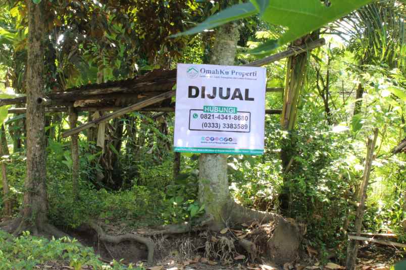 dijual tanah desa banjarsari kec glagah