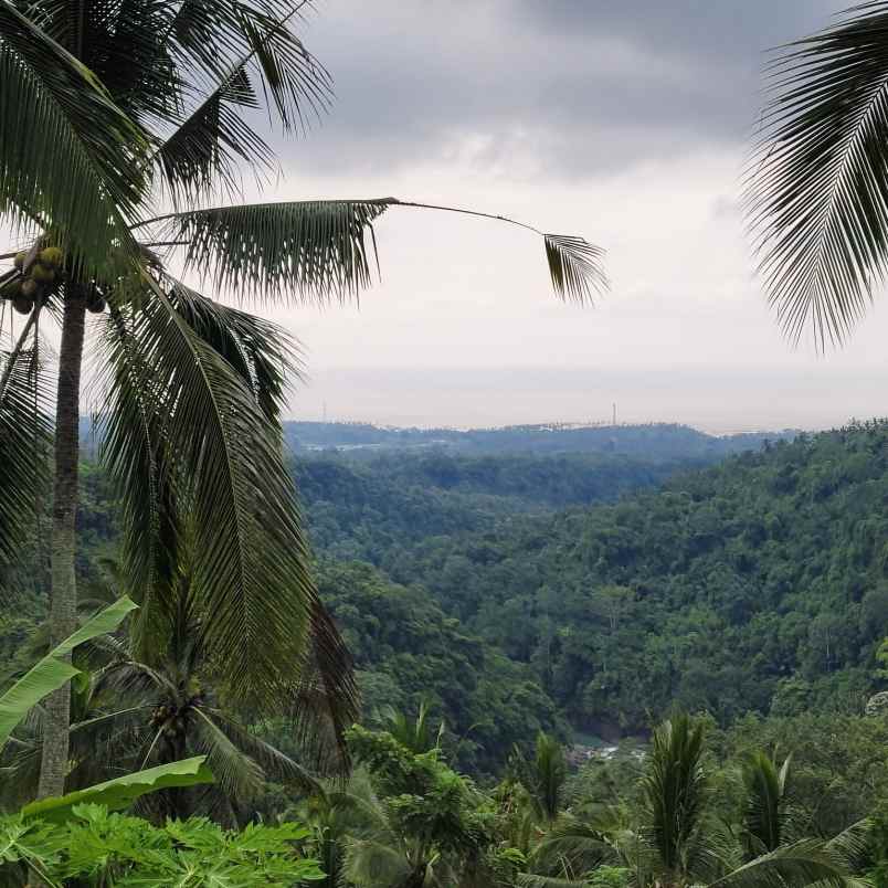 dijual tanah desa lumbung kauh kec