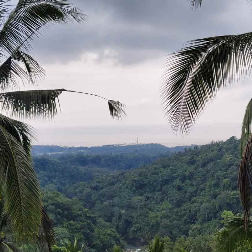 dijual tanah desa lumbung kauh kec