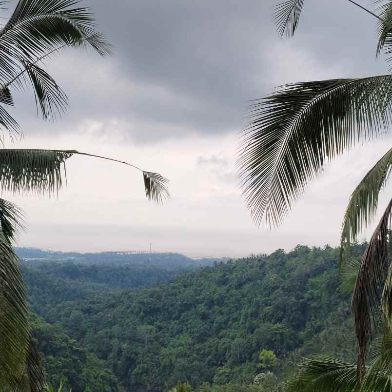 dijual tanah desa lumbung kauh kec