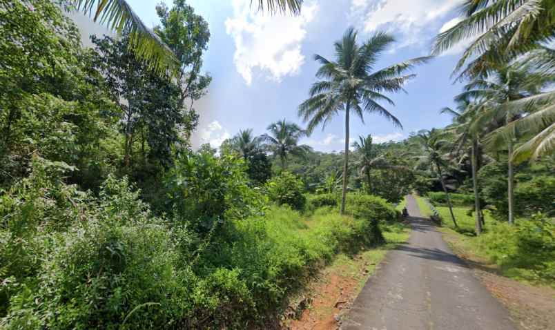 dijual tanah desa sidamulya