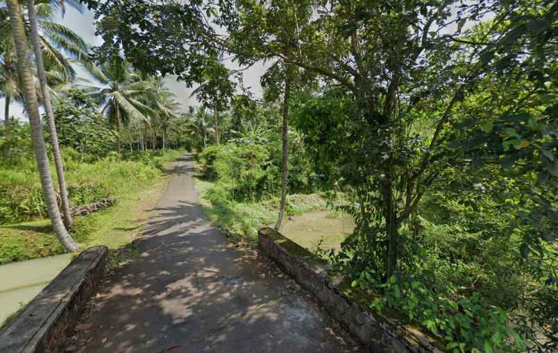 dijual tanah desa sidamulya