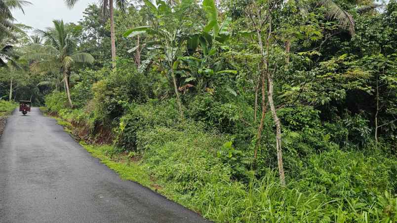 dijual tanah desa sidamulya