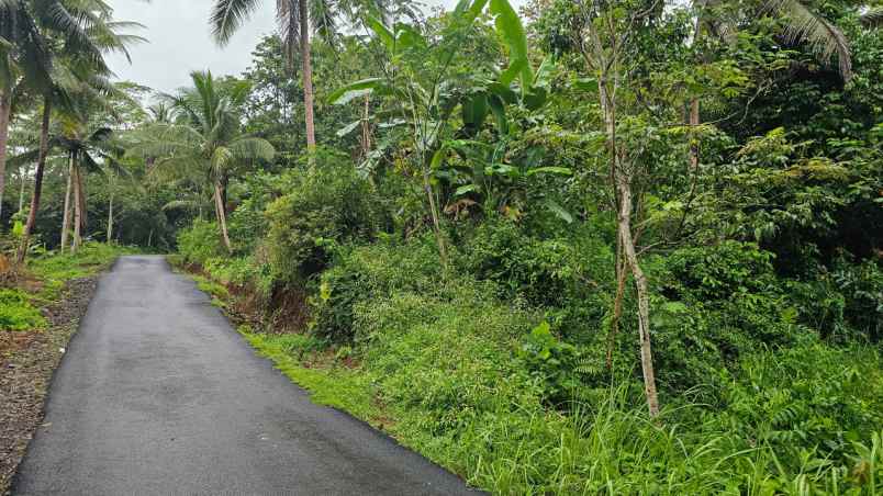 dijual tanah desa sidamulya