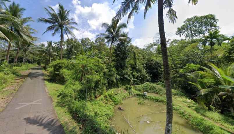 dijual tanah desa sidamulya