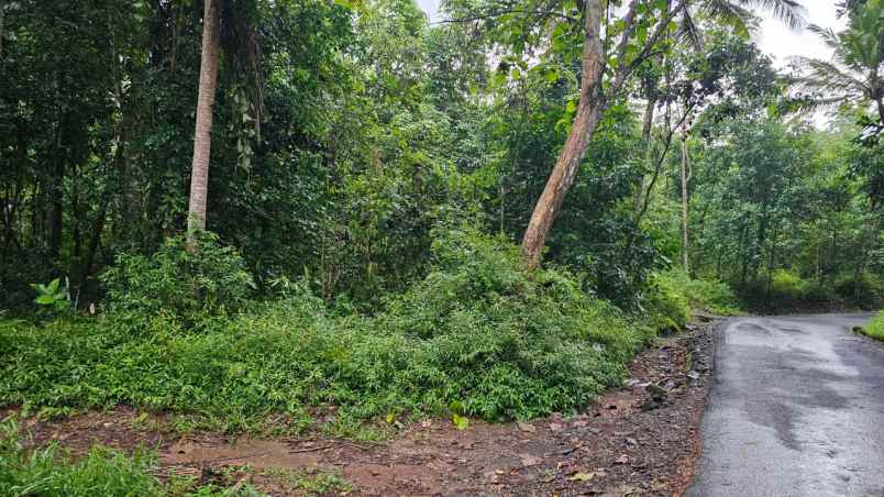 dijual tanah desa sidamulya