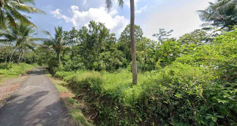 dijual tanah desa sidamulya