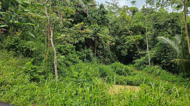 dijual tanah desa sidamulya