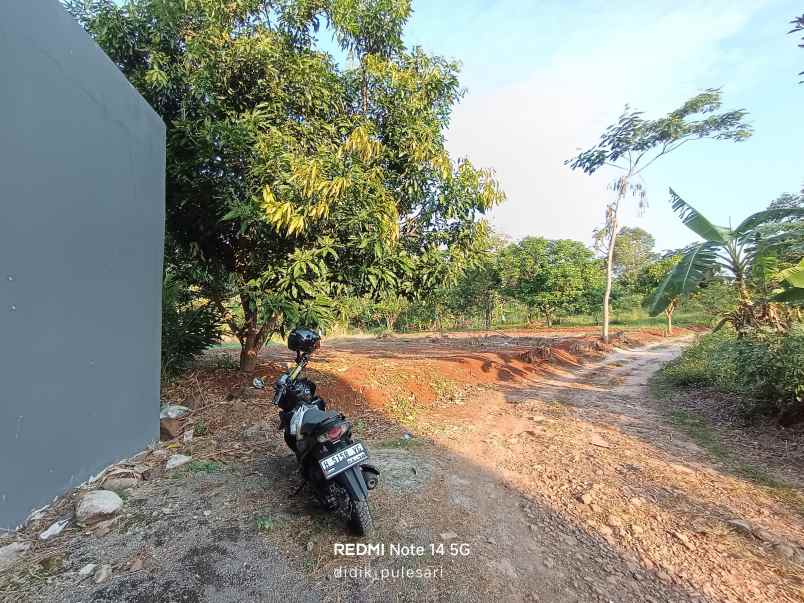 dijual tanah di bulusan selatan semarang