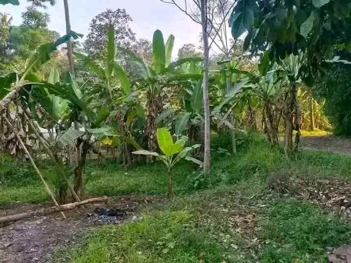 dijual tanah di desa trunamanggala cimalaka sumedang