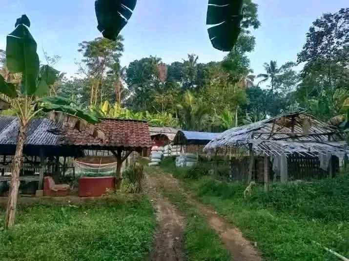 dijual tanah di desa trunamanggala cimalaka sumedang