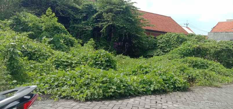 dijual tanah di ds kragan rt 4 rw 01 gedangan sidoarjo
