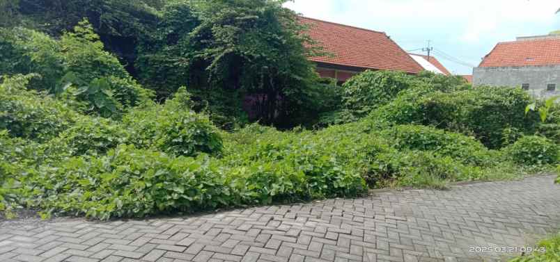 dijual tanah di ds kragan rt 4 rw 01 gedangan sidoarjo