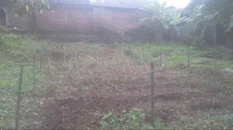 dijual tanah di jangli jrobang jatingaleh semarang