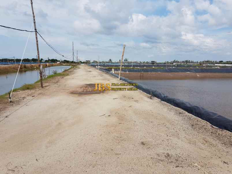 dijual tanah dusun suka mulia desa