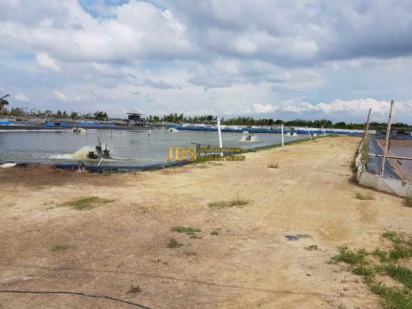 dijual tanah dusun suka mulia desa