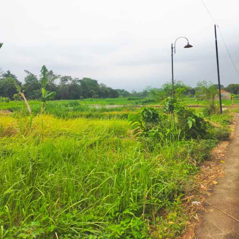 dijual tanah gondang legi kel