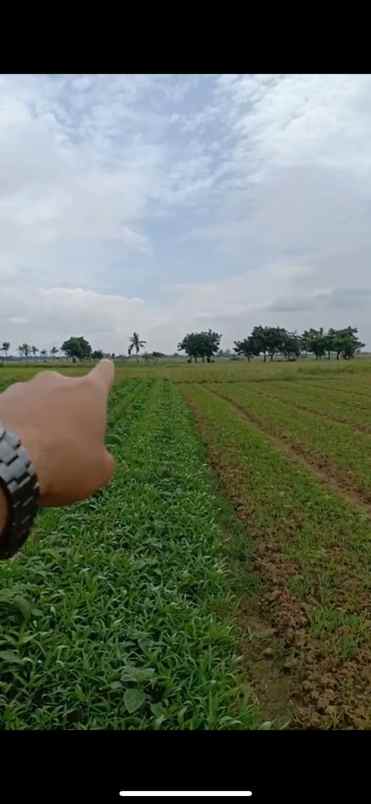 dijual tanah harapan jaya kp poncol