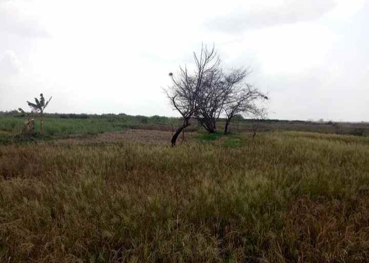 dijual tanah industri 10 hektar bekasi