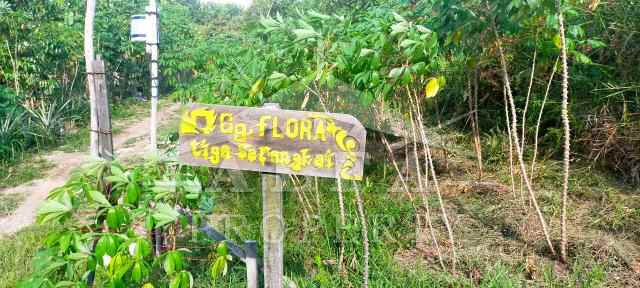 dijual tanah jalan flora batu layang kota pontianak