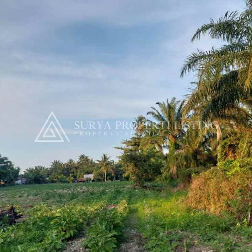 dijual tanah jalan makmur dsn 5 desa