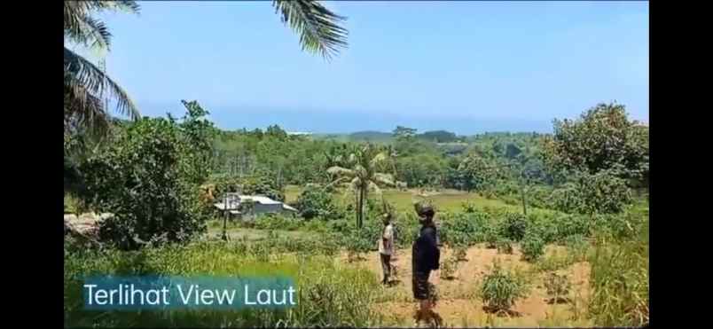 dijual tanah jalan raya pantai cijayana