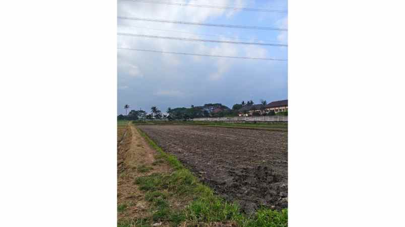 dijual tanah jalan raya tlogowaru