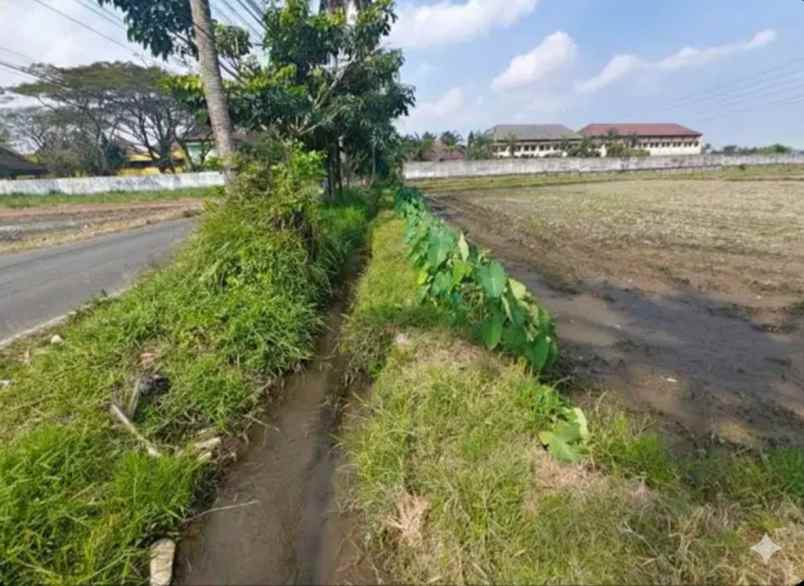 dijual tanah jalan raya tlogowaru