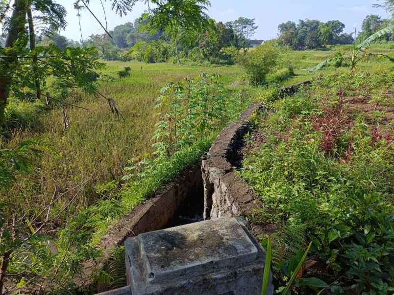 dijual tanah jalan sukasari