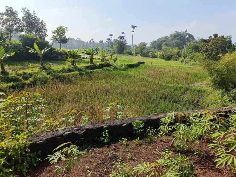 dijual tanah jalan sukasari