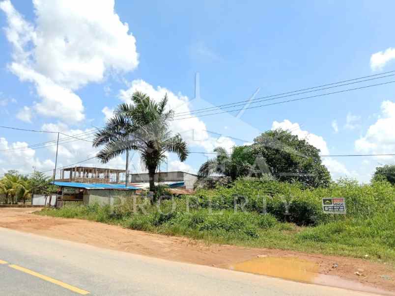 dijual tanah jalan trans kalimantan pontianak