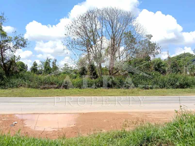 dijual tanah jalan trans kalimantan pontianak