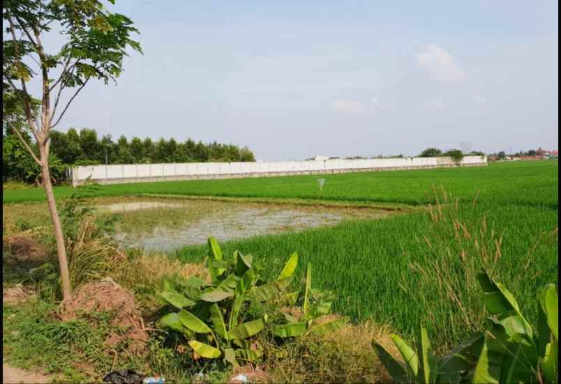 dijual tanah jl lingkar tanjungpura