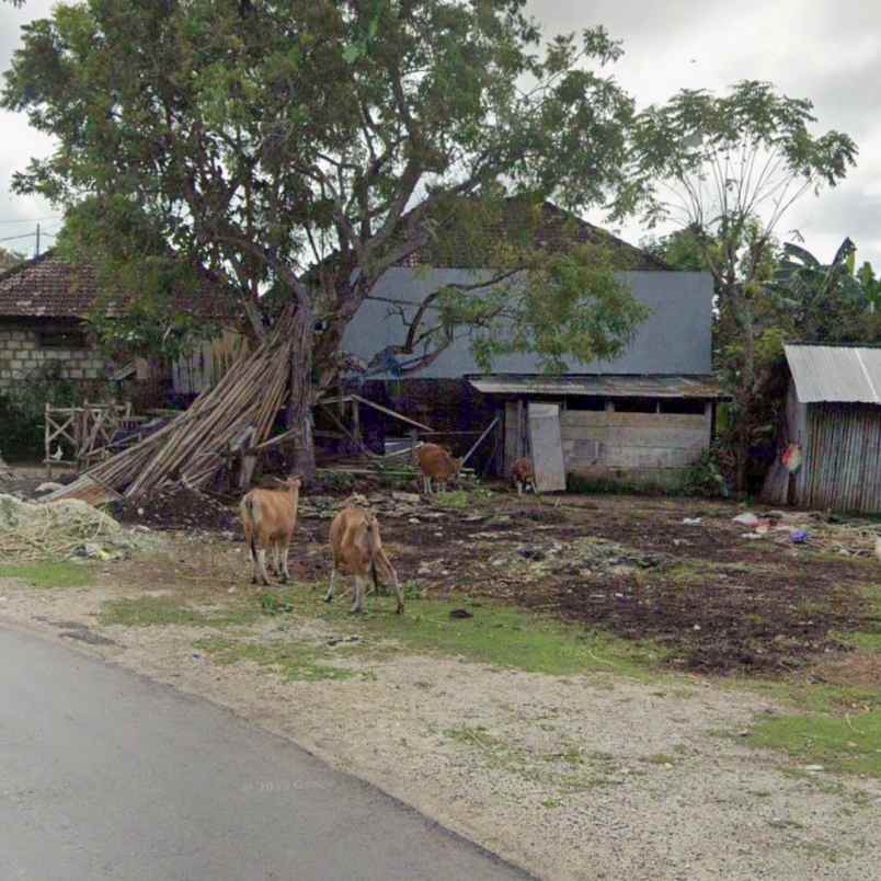 dijual tanah jl pura matsuka