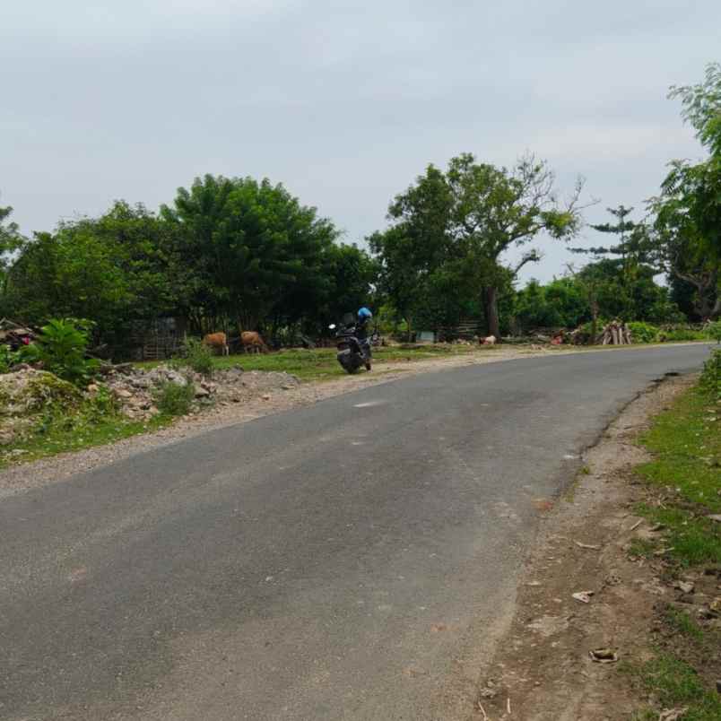 dijual tanah jl pura matsuka