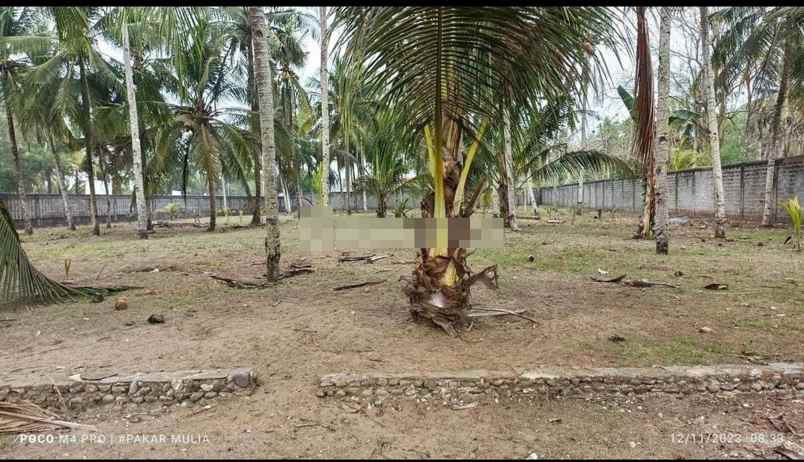 dijual tanah jl raya pamugaran